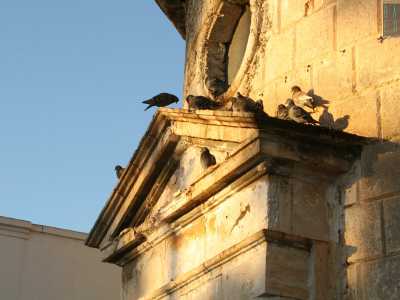 Sul timpano, frequentato unicamente da uno stormo di colombi, occhieggia una finestra circolare